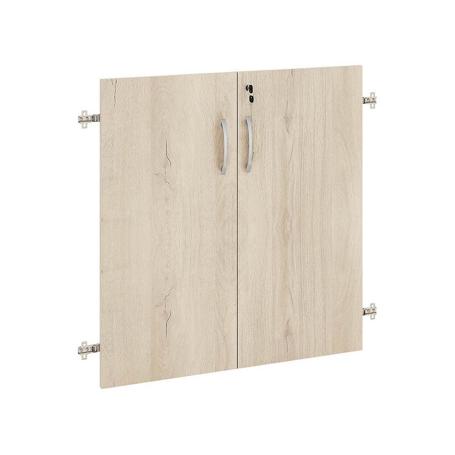 Двери ДСП на 2 секции с замком 64.59