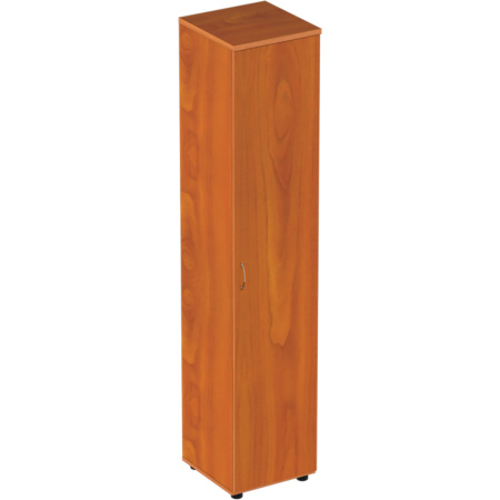 Шкаф для документов Р.П-3 узкий высокий с дверью 