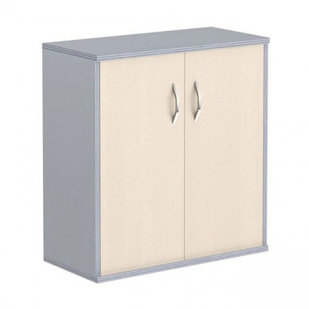 Шкаф для документов СТ-3.1