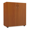 Шкаф для документов У.Ш-6